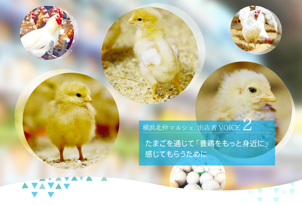 横浜北仲マルシェ 出店者VOICE 2／たまごを通じて「養鶏をもっと身近に」感じてもらうために